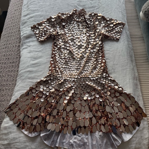 The Party Edition Nala Dress Rose Gold - Picture 5 of 8